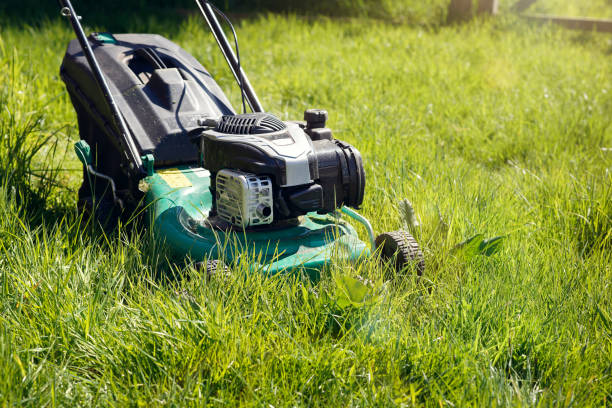 Mowing or cutting the very long grass with a green lawn mower in the summer sun