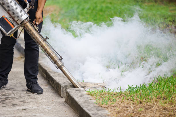 Mosquito & Fly Control