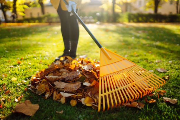 Seasonal Garden Cleaning and Upkeep