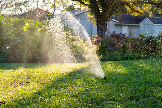 Watering System Setup & Maintenance